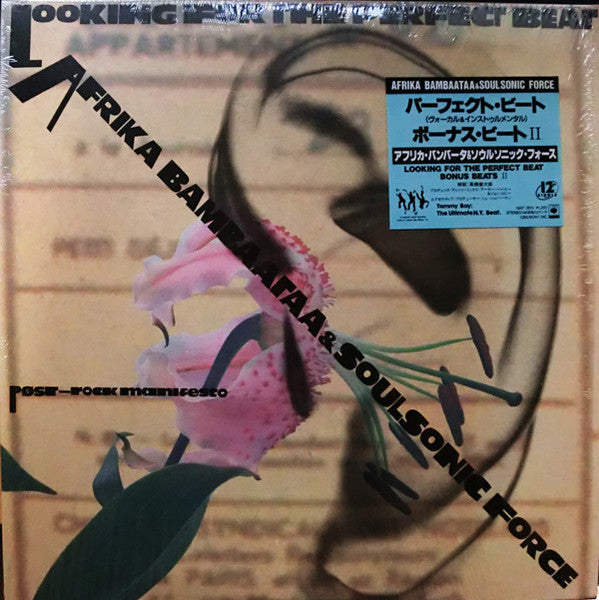 Looking For The Perfect Beat