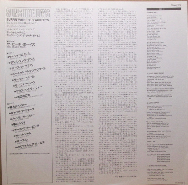 Sunshine Days: Surfin' With The Beach Boys