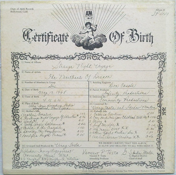 Strange Night Voyage