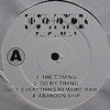 Busta Rhymes - Da Coming (2xLP, Album, Reissue, Unofficial Release) - Good Plus (G+) / Generic