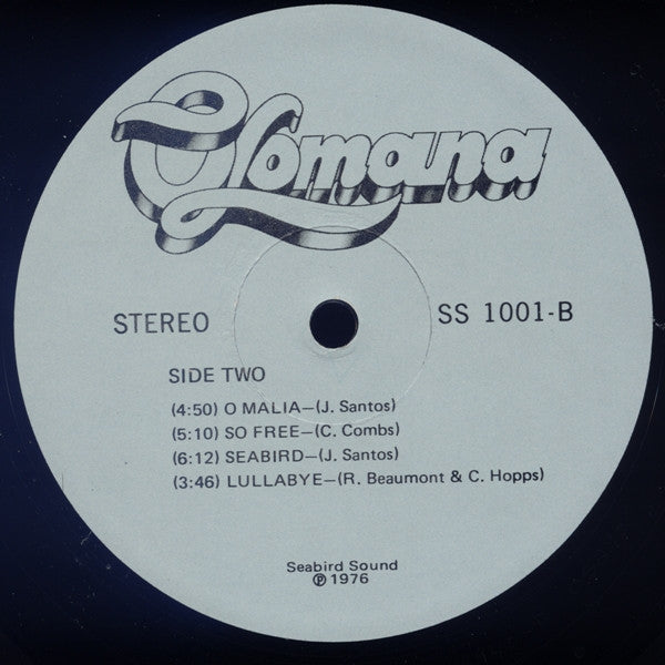 Like A Seabird In The Wind