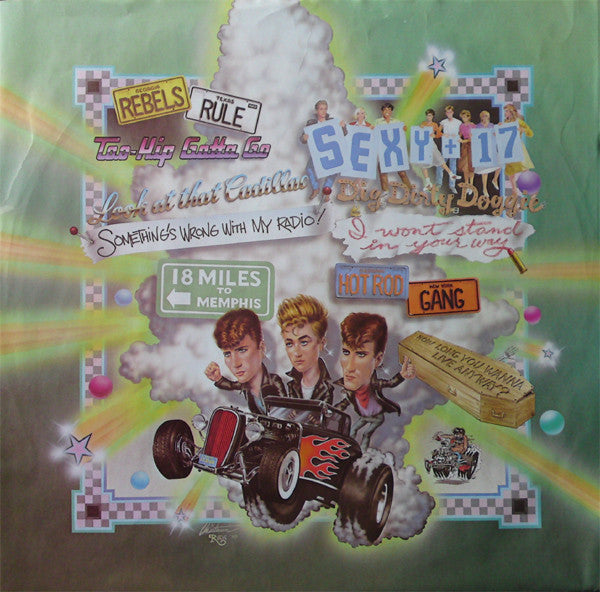 Rant N' Rave With The Stray Cats