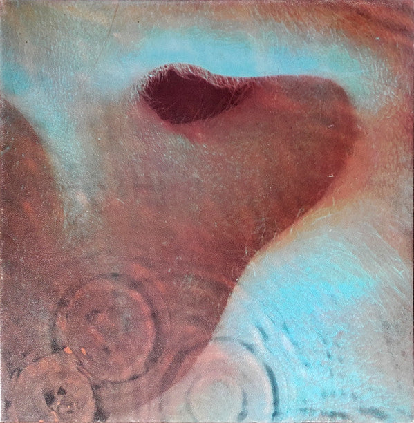 Meddle