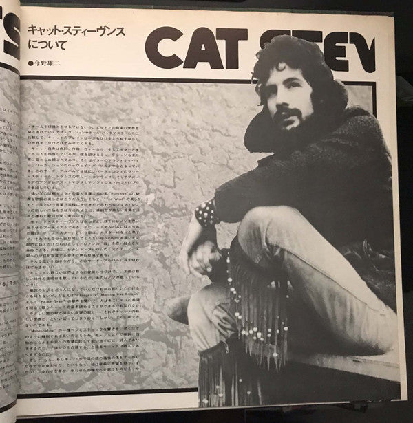 Teaser And The Firecat