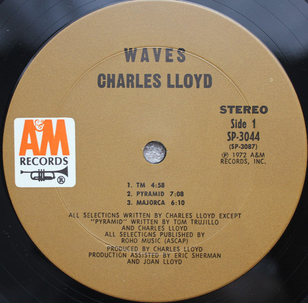 Waves
