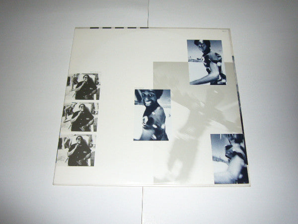 The Dream Of The Blue Turtles