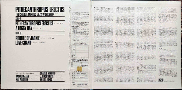 Pithecanthropus Erectus