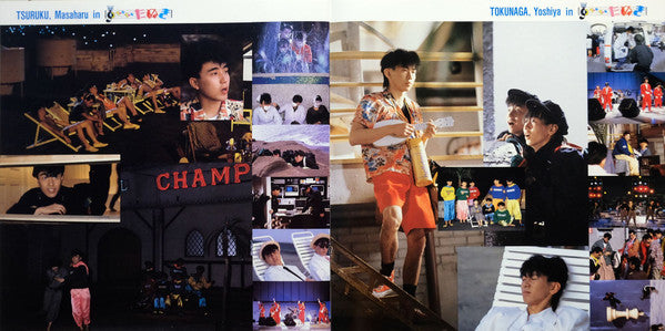 Checkers In Tan Tan たぬき