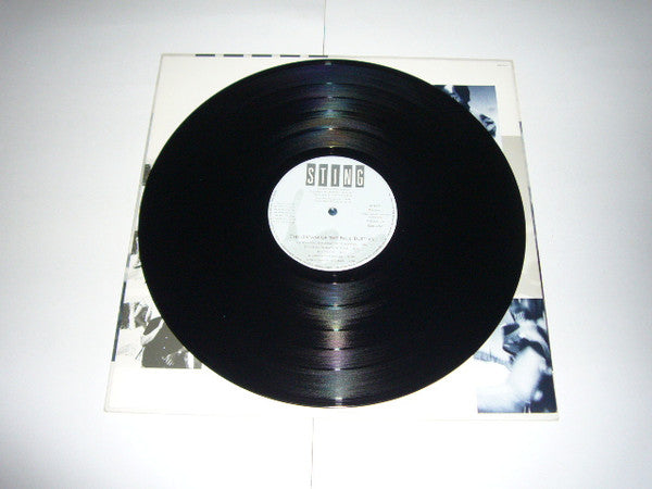 The Dream Of The Blue Turtles