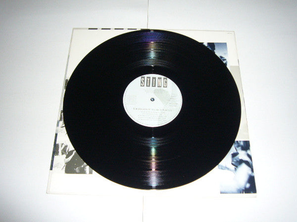 The Dream Of The Blue Turtles