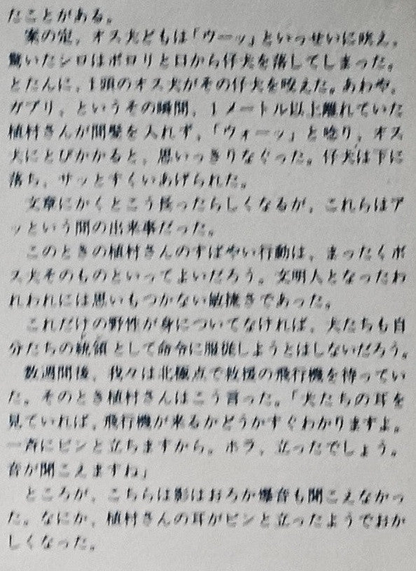 植村直己 北極点単独犬橇旅行