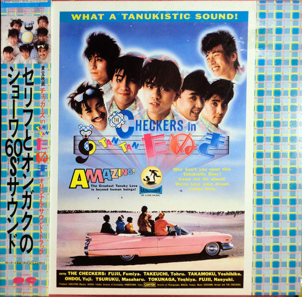 Checkers In Tan Tan たぬき