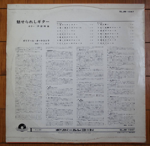 魅せられしギター