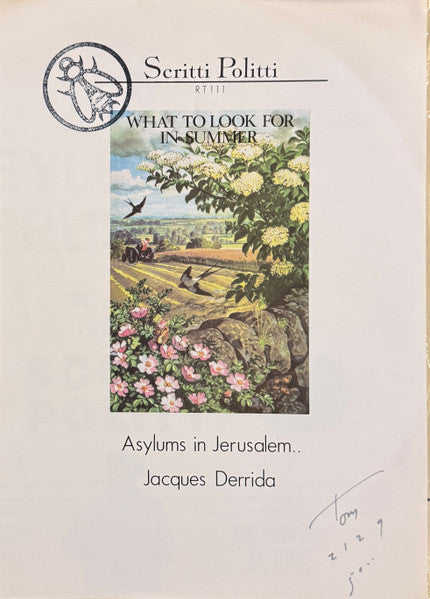 Asylums In Jerusalem