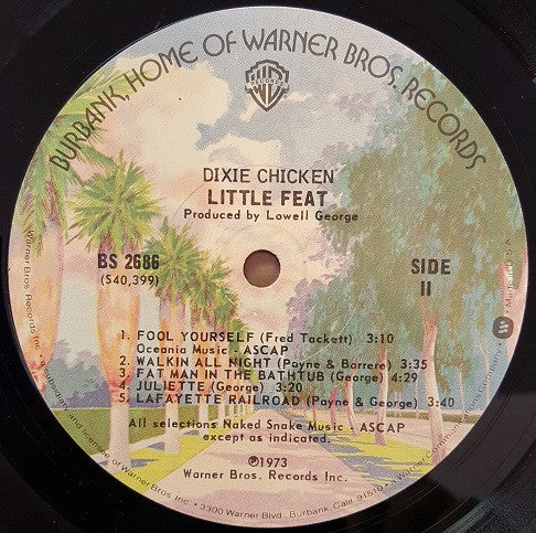 Dixie Chicken