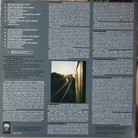 Silver Meteor: A Progressive Country Anthology