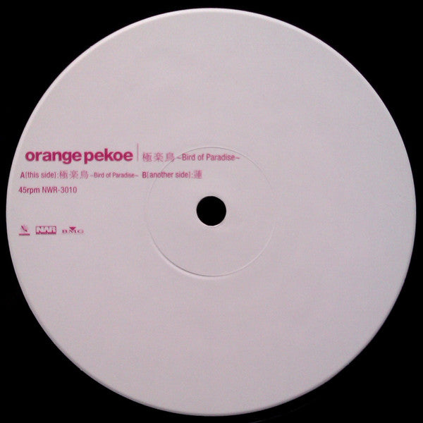 極楽鳥 ~Bird Of Paradise~