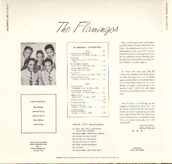 Flamingos