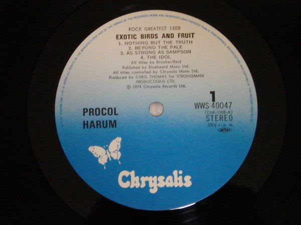 Exotic Birds And Fruit