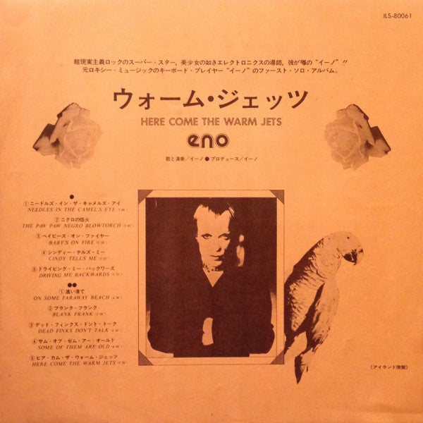 Here Come The Warm Jets