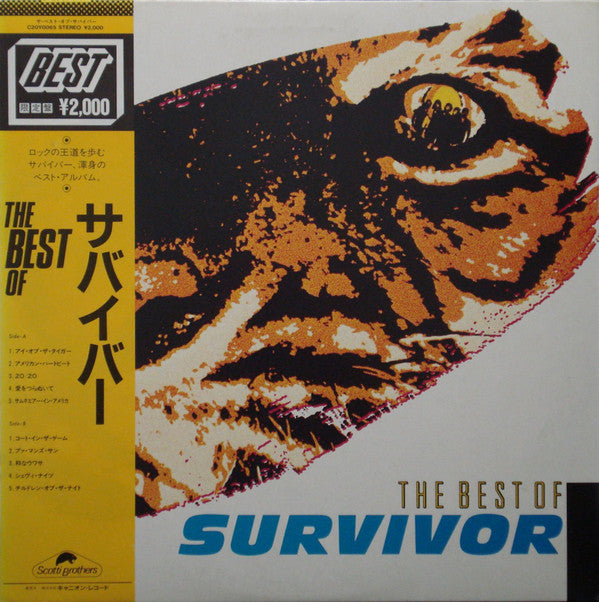 The Best Of Survivor