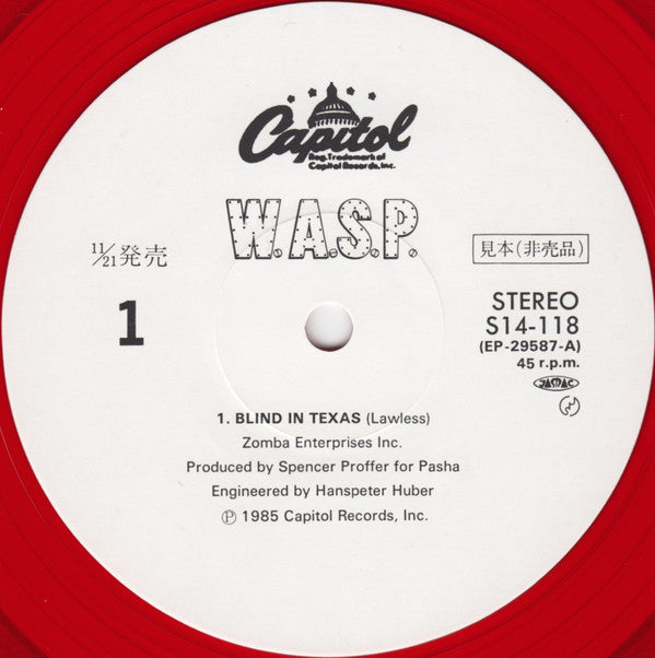 Blind In Texas