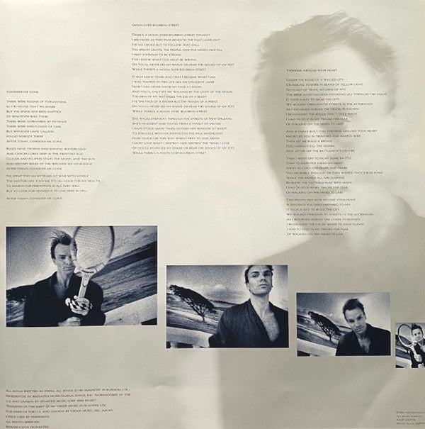 The Dream Of The Blue Turtles