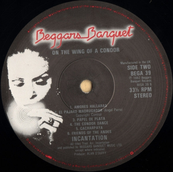 On The Wing Of A Condor