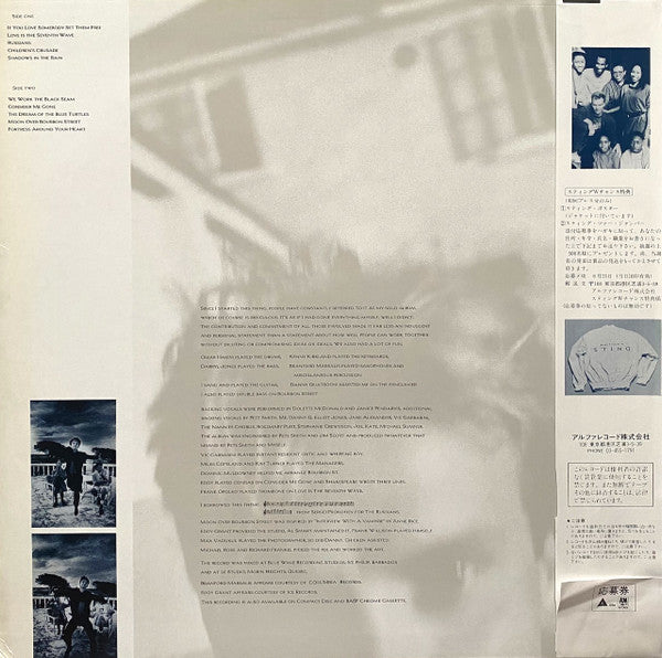 The Dream Of The Blue Turtles