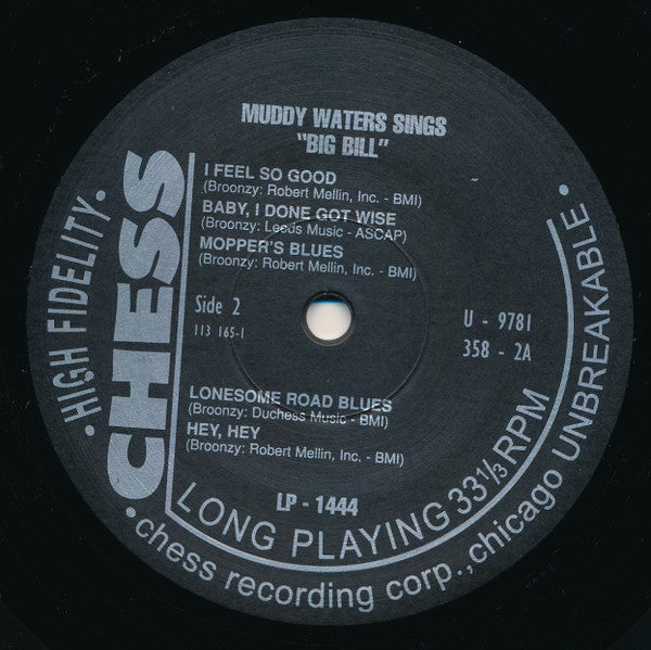 Muddy Waters Sings Big Bill Broonzy