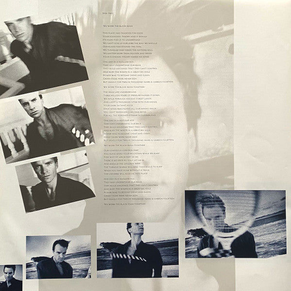 The Dream Of The Blue Turtles