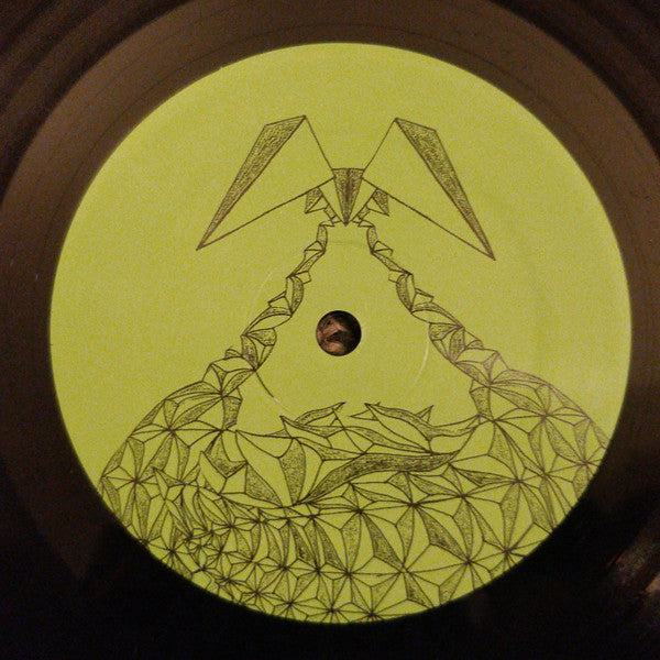 The Olivia Tremor Control/The Black Swan Network