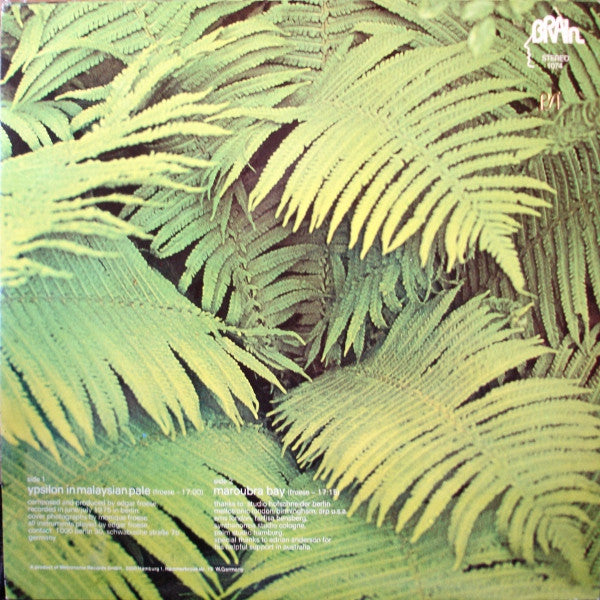 Ypsilon In Malaysian Pale