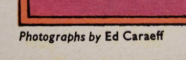 Don't Shoot Me I'm Only The Piano Player