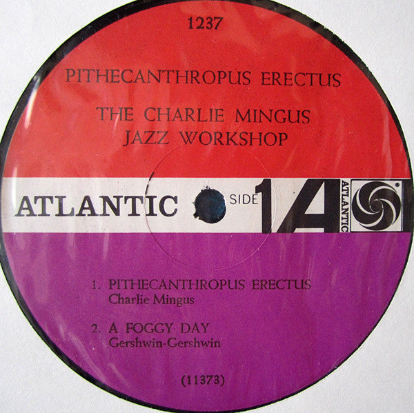 Pithecanthropus Erectus