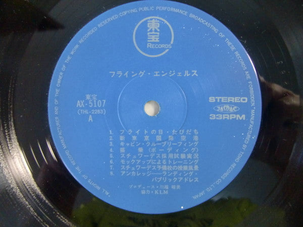 Flying Angels フライング・エンジェルス - スチュワーデスの世界
