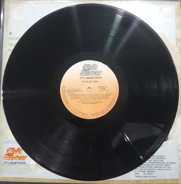 O Vôo Dos Pássaros