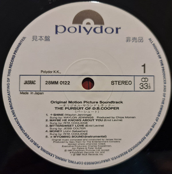 The Pursuit Of D.B. Cooper