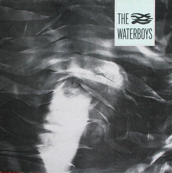 The Waterboys