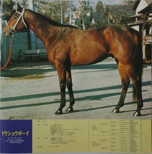 名馬わが愛 競馬史上最強世代の記録