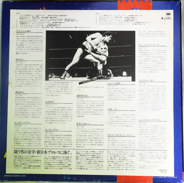 Theme Of Super Fighter II