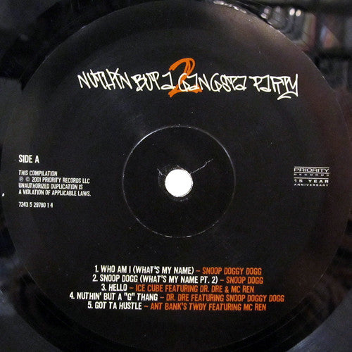 Nuthin' But A Gangsta Party 2