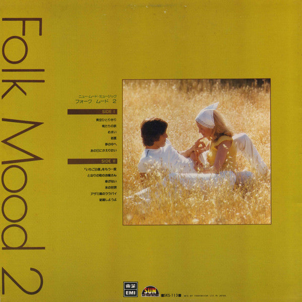 Folk Mood 2