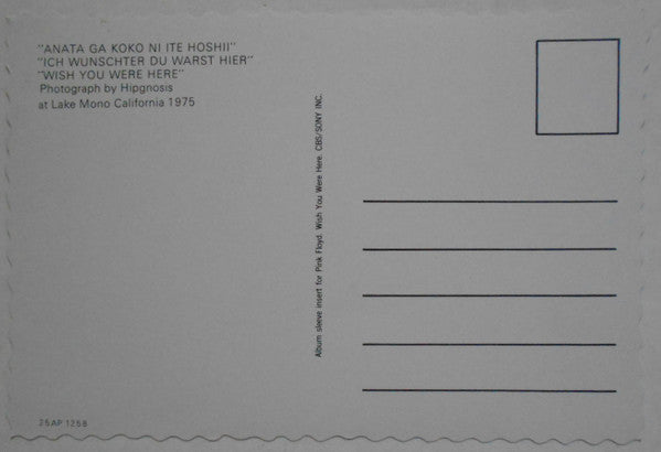 Wish You Were Here = 炎 (あなたがここにいてほしい)