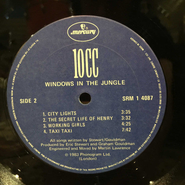 Windows In The Jungle