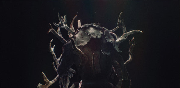 The Hunting Party