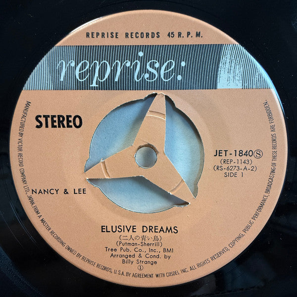 Elusive Dreams