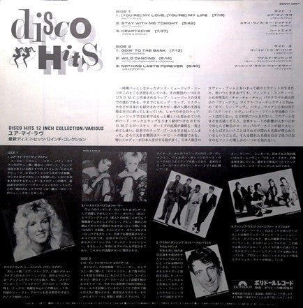 Disco Hits 12 Inch Collection