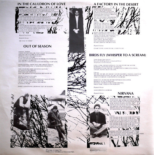 The Icicle Works