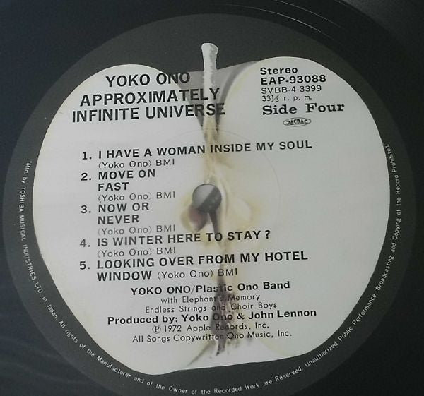 Approximately Infinite Universe